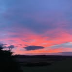Fiona Nutt Singleton - Facebook