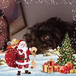 Fiona Singleton - @fiona.singleton.315 - Instagram