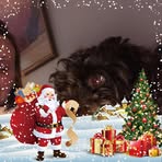 Fiona Singleton - Facebook