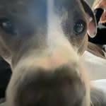 fiona snyder - @fionasnyder10 - Instagram