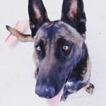 @fiona_solis5389 - Instagram