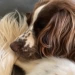 Fiona Stark - @fionastark30 - Instagram
