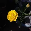 fionastark21 - @fionastark21 - TikTok
