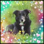 Fiona Stephens - Facebook