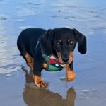Fiona Stokes - @fionastokes1965 - Instagram