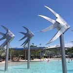 Fiona Stokes - @stokesfiona - Instagram
