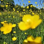 Fiona Stone - @greeneyedstone - Instagram