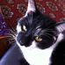 Fiona Stone - Facebook