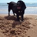 fiona strachan - @f.strachan - Instagram