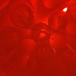 Fiona Strachan - @strachan.fiona - Instagram