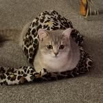 F&S - @fiona_strongmore - Instagram