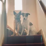 Fiona Stuart - @fionamlstuart - Instagram