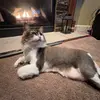 fiona - @fionatampi - TikTok
