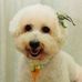 Fiona Tam - Facebook