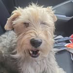 fiona_tobin - @fionatobin73 - Instagram