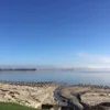 Fiona Tobin - @fionatobin318 - TikTok