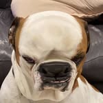@fionatobin7 - Instagram