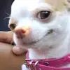 Fiona Todd - @fiona.todd1 - TikTok