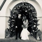 Fiona Treacy - @fionatreacy - Instagram