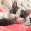 Fiona - @fiona.tsui - TikTok