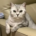 Fiona Tsui - @fiona_twy - Instagram