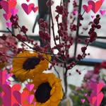 Fiona Tsui - @shumcc_sisterhood - Instagram