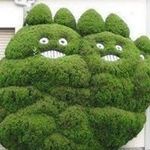Fiona Tsui - @fiona853877 - Instagram