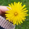fionavangglove - @my._.profile_ - TikTok