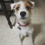 Fiona Vasquez & Malbec Vasquez - @fiona_vasquez_ - Instagram