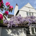 Fiona Vickers - @homeatfarmcote - Instagram
