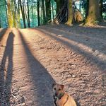 Fiona Walters - @fwalters2515 - Instagram