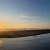 fiona - @fiona.swan - TikTok