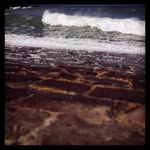 Fiona Waters - @nourishedin - Instagram