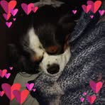 Fiona Watt - Facebook