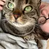 Fiona Weber915 - @fionaweber0 - TikTok