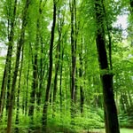 Fiona Weber - @fiona_weber2000 - Instagram