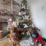 Fiona West - @fiona.west.71 - Instagram