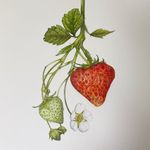 Fiona Wheeler - @fionawheelerartist - Instagram
