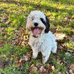Fiona - @fiona_wilkinson_ - Instagram