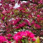 Fiona Williamson - @fiona_williamson - Instagram