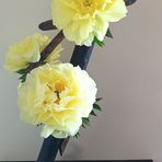Fiona Williamson - Facebook