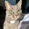Fiona FanPage😻🥺 - @winter..fiona - TikTok