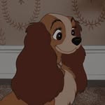 Amel - @fiona_wisesten - Instagram