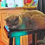 Fiona Wolfe - @featuringfionaandfriends - Instagram