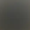 Fiona Wolfe - @fiona.wolfe7 - TikTok