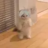 _fionawu_ - @_fionawu_ - TikTok