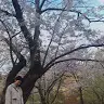 Fiona Wu - @fionawu8 - TikTok
