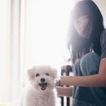 Fiona Clementine Yim - @fififionay - Instagram