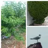 Fior Ramirez - @fior.ramirez41 - TikTok