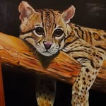 Fio Ayala Dibujos y Pinturas - @fiore_ayala_dibujos - Instagram